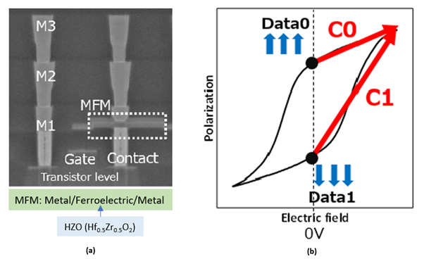 Figure 5. (a) A scanned electron microscopy (SEM) image of 1T 1C FeRAM is shown (in box: MFM capacitor). (b) This is the classification of Data 0 and 1 according to polarization state ([7] J. Okuno, IMW 2021)